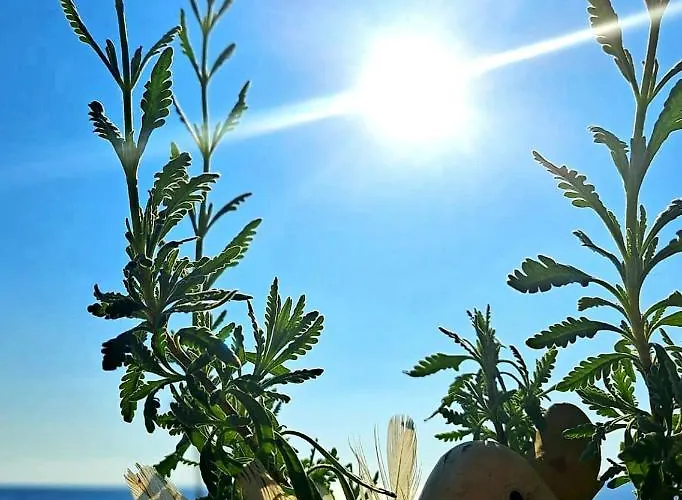 Elisabeta Ξενοδοχείο 3*