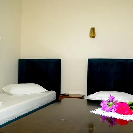 Hotel Elisabeta Borsh